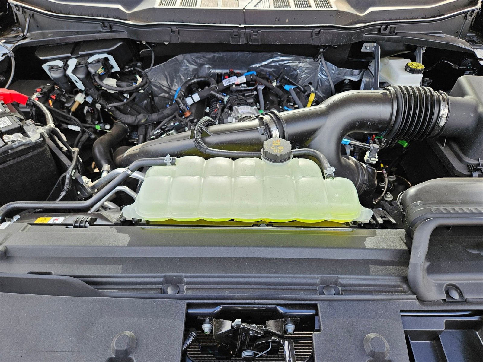 New 2025 Ford F150 STX w/ Equipment Group 200A image 21