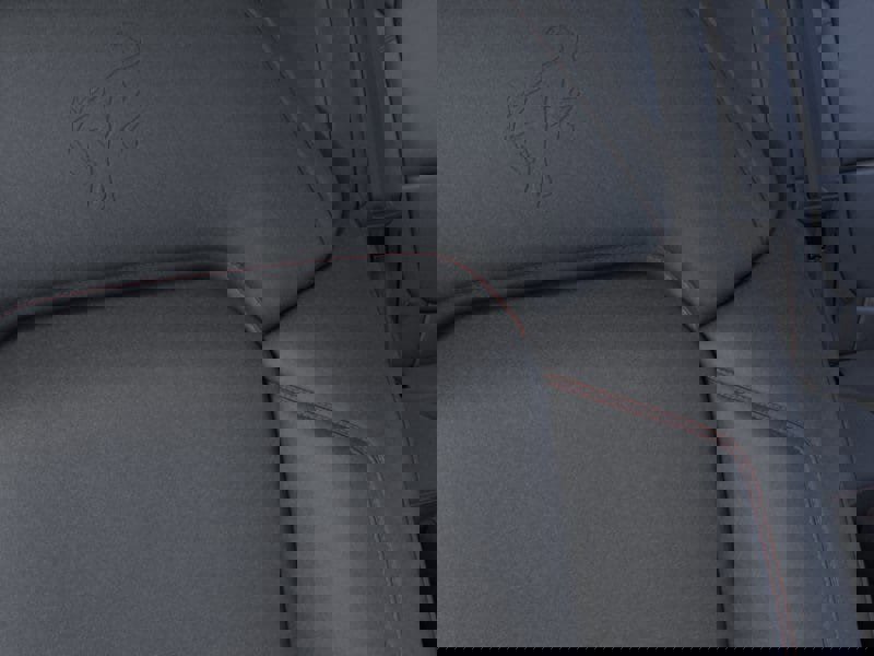 New 2026 Ford Bronco Stroppe Edition image 18