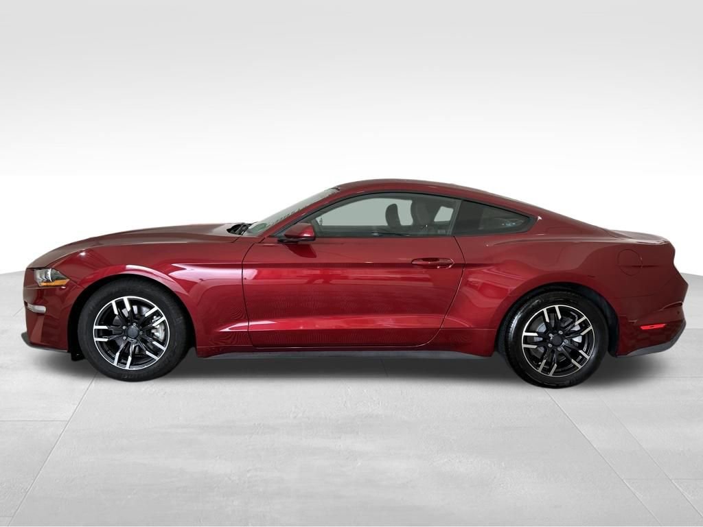 Used 2019 Ford Mustang EcoBoost image 2