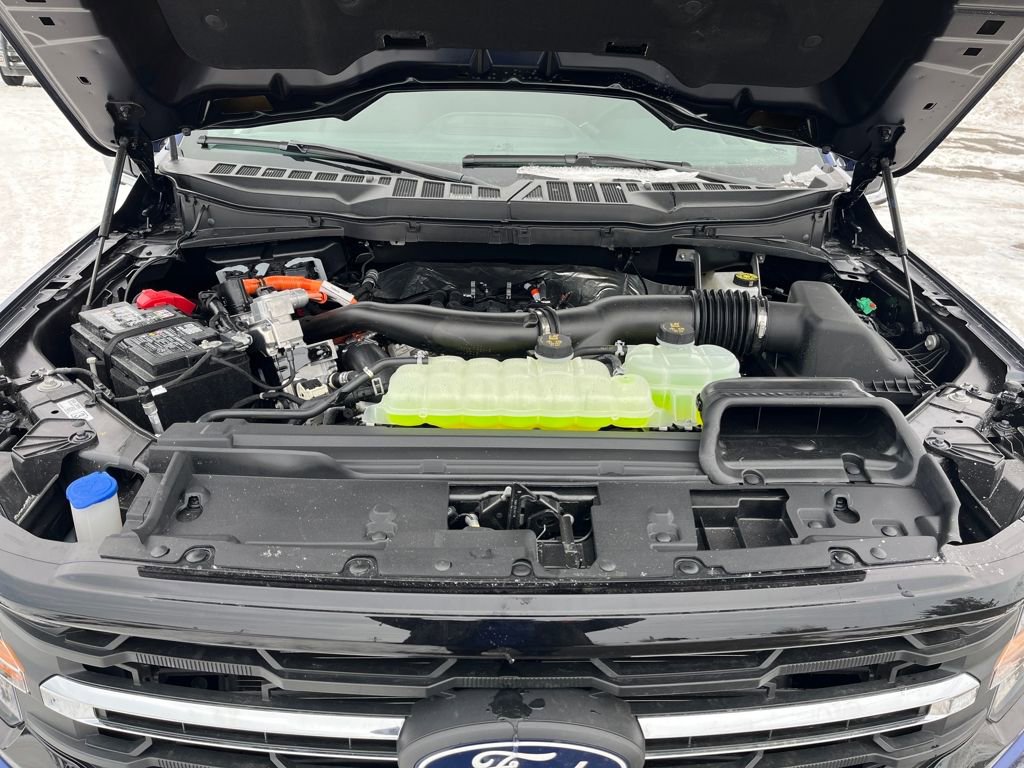 New 2026 Ford F150 XLT w/ Equipment Group 302A MID image 23