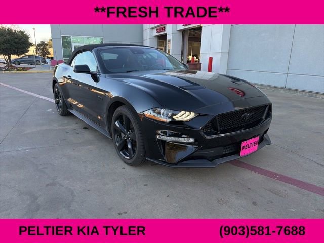 Used 2021 Ford Mustang GT Premium w/ Equipment Group 401A image 1