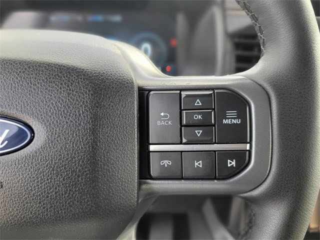 New 2025 Ford F150 Lightning Lariat image 24