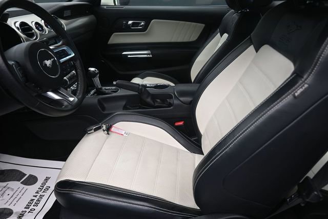Used 2015 Ford Mustang 50 Years RWD image 14