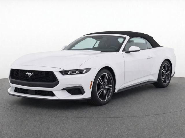 Used 2024 Ford Mustang Premium RWD image 2