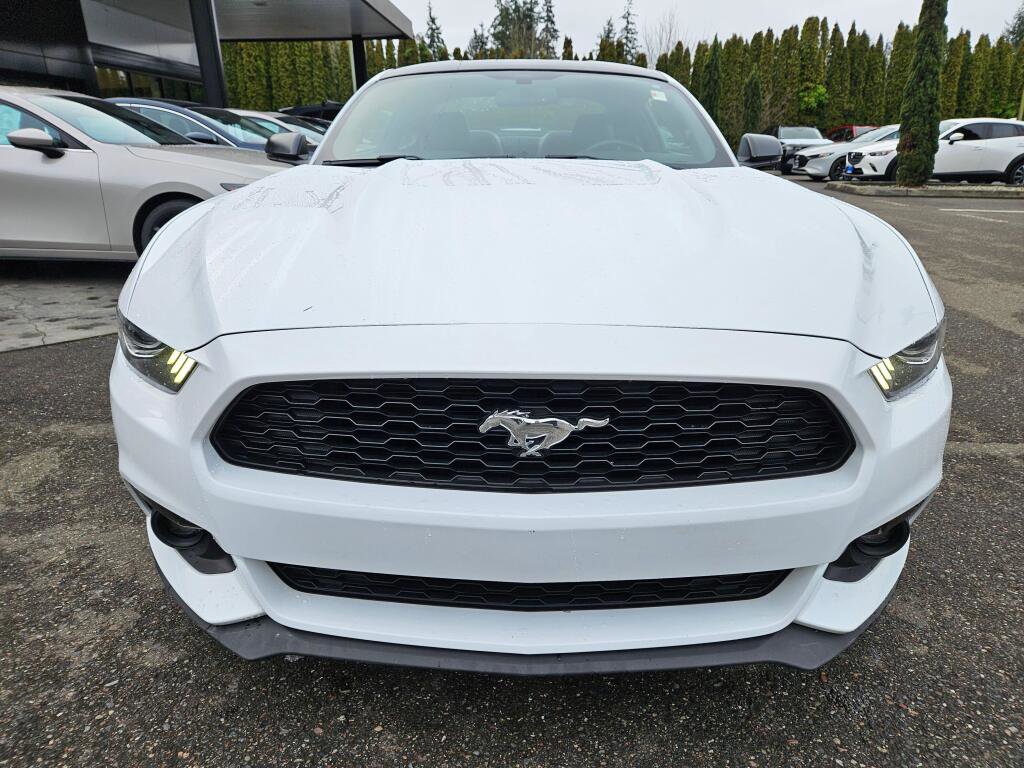 Used 2017 Ford Mustang Premium w/ Ecoboost Performance Package image 2
