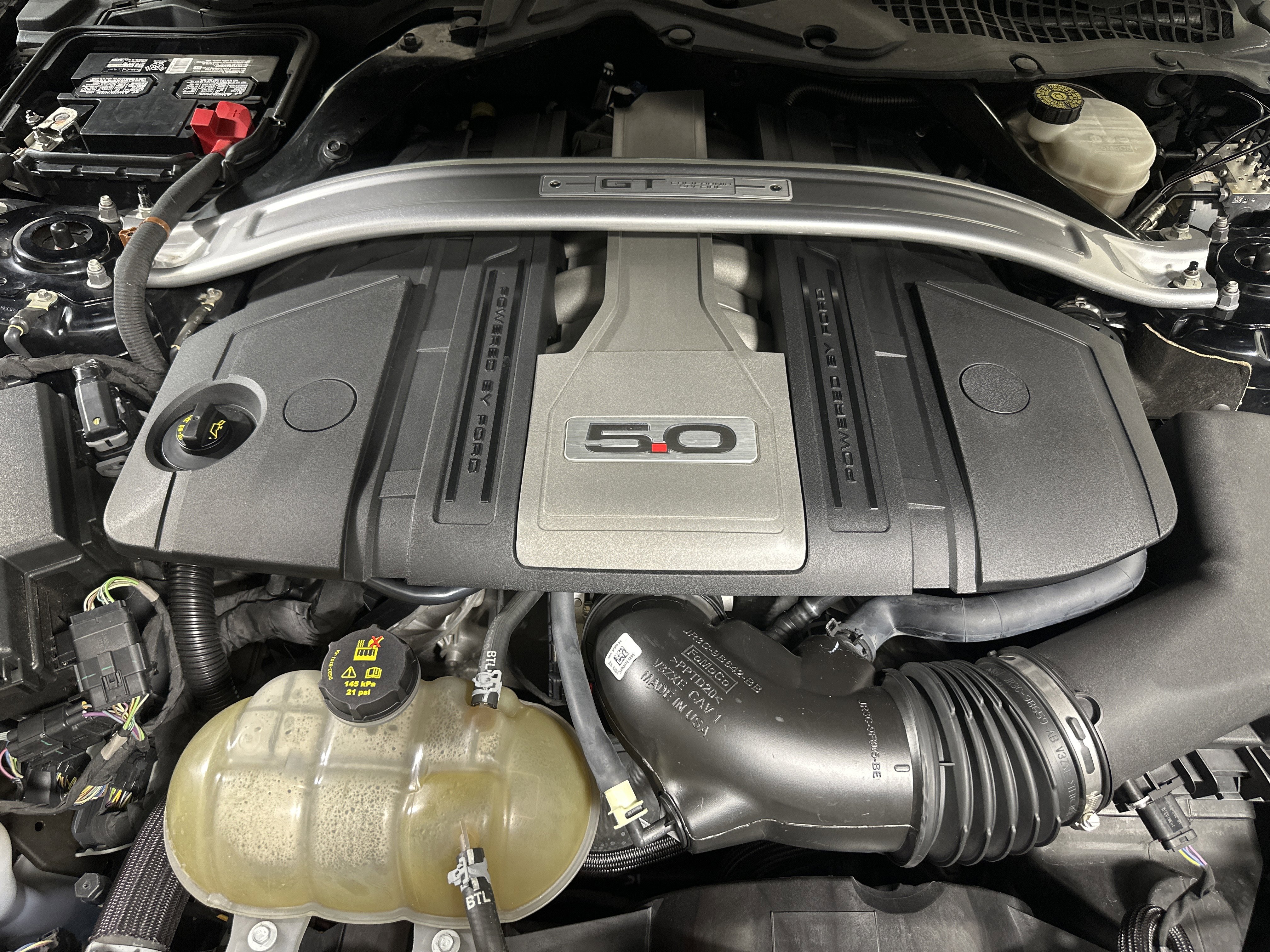 Used 2019 Ford Mustang GT Premium w/ Equipment Group 401A image 23