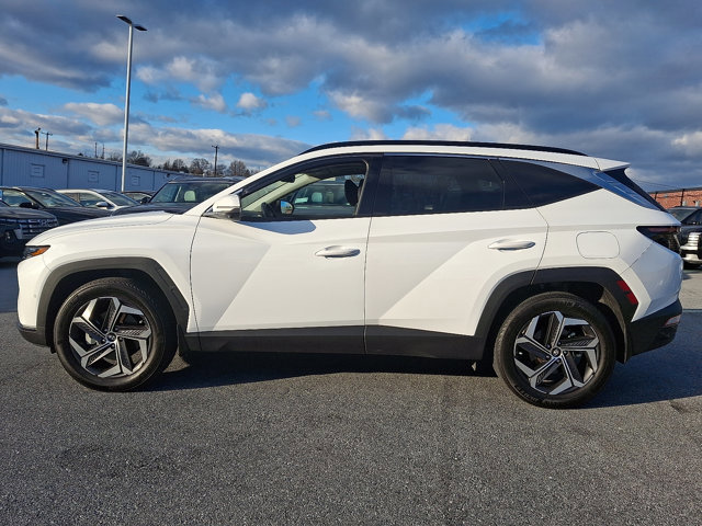 Used 2023 Hyundai Tucson Limited image 7