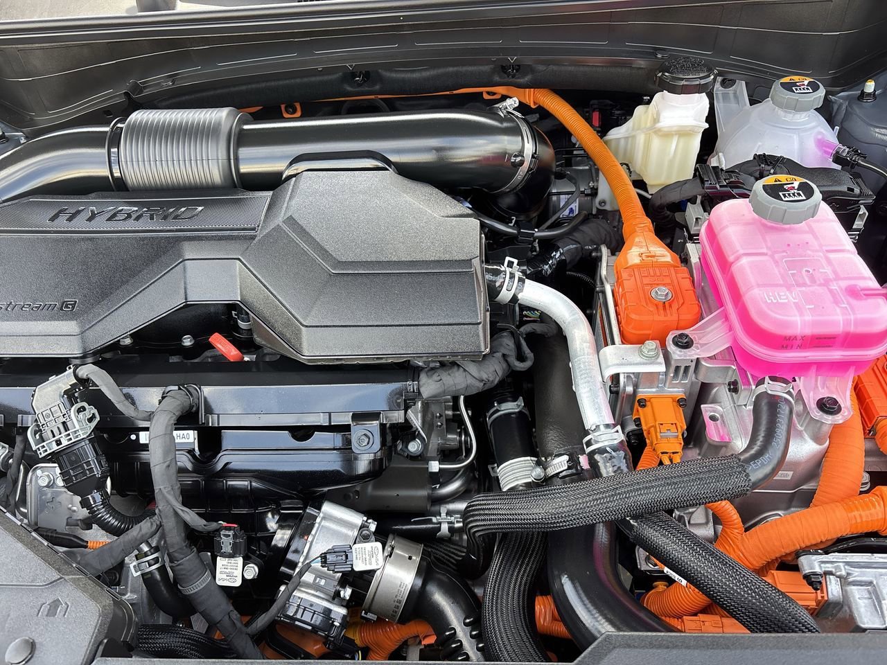 Used 2026 Kia Sportage X-Line image 11