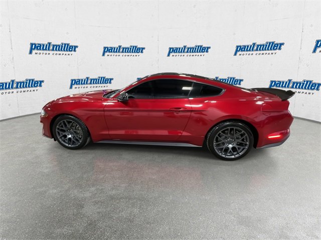 Used 2023 Ford Mustang Coupe w/ Equipment Group 101A image 6