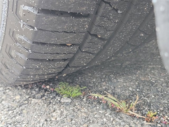 Used 2019 Ford Fusion SE image 32