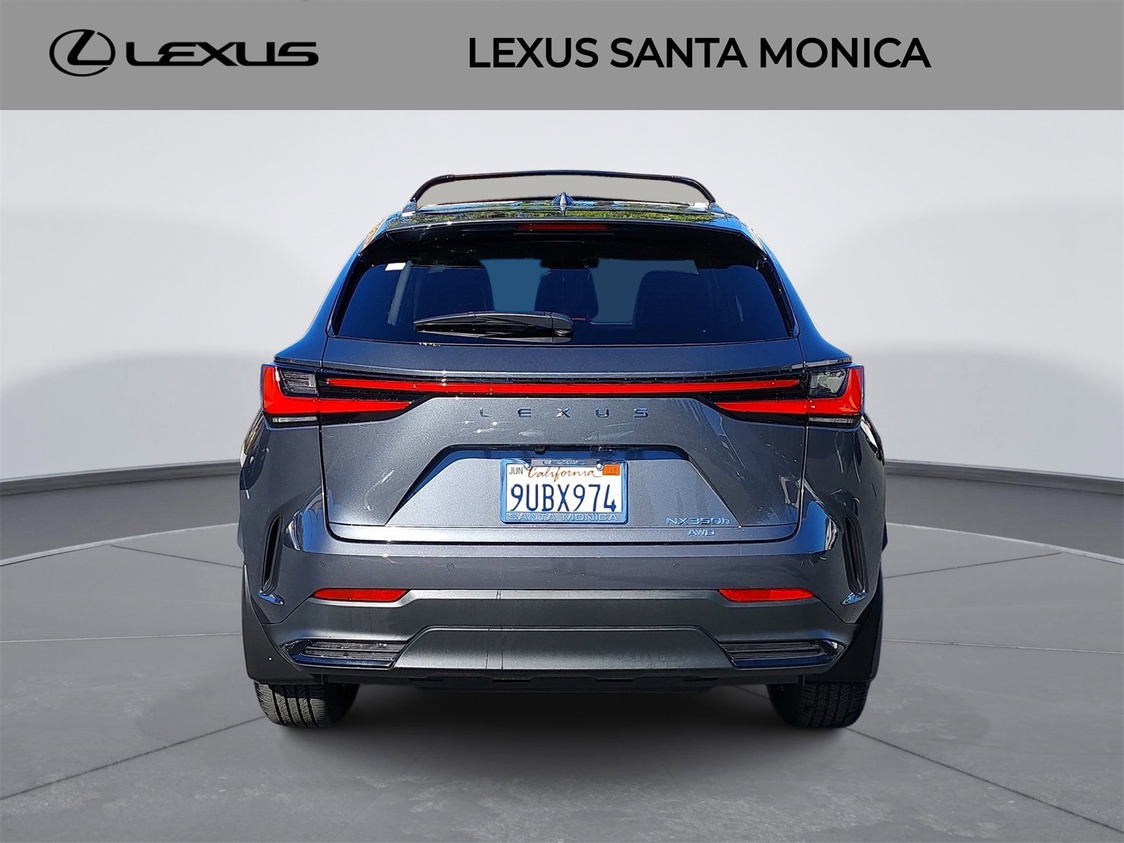 Used 2025 Lexus NX 350h AWD w/ Premium Package image 6