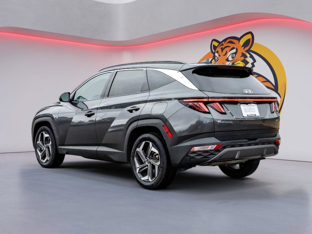 Used 2024 Hyundai Tucson Limited image 7