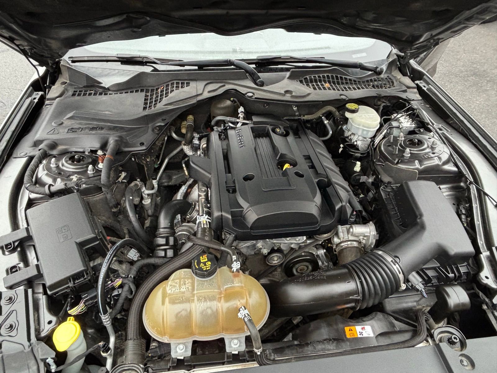 Used 2016 Ford Mustang Premium w/ Equipment Group 201A image 21