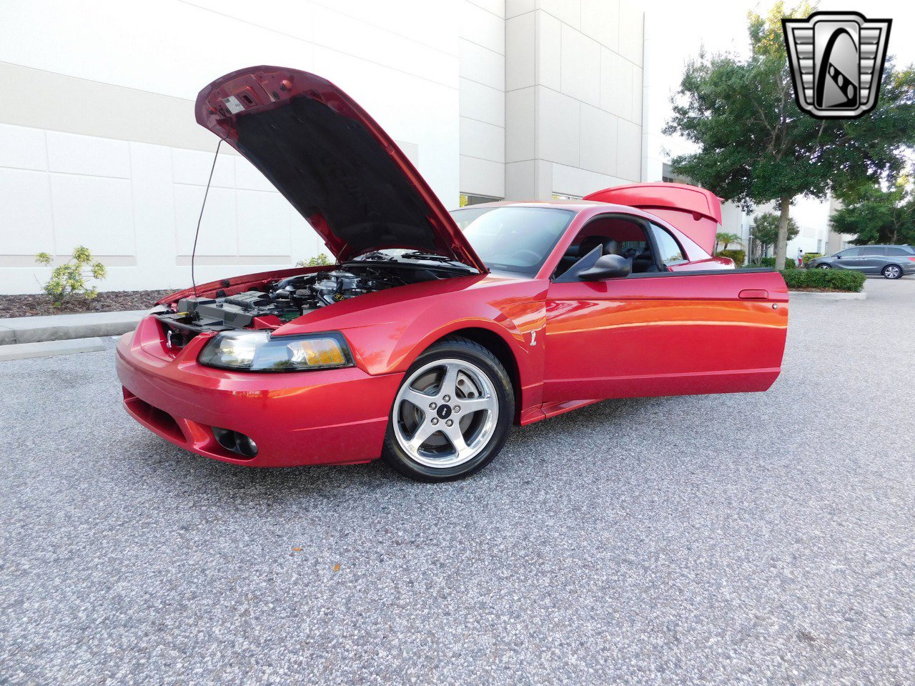 Used 2001 Ford Mustang Cobra image 24