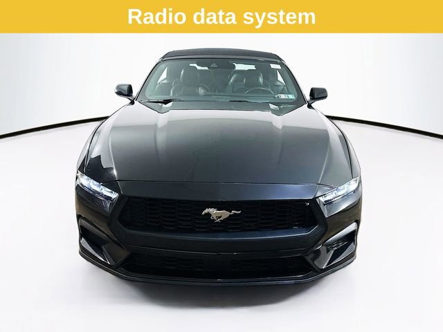 Certified 2024 Ford Mustang Premium image 3