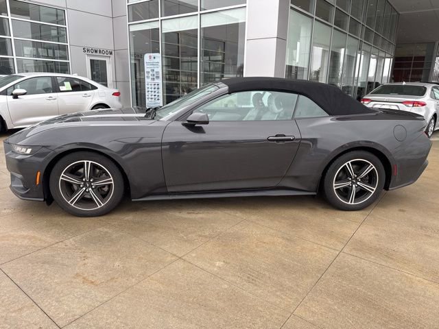 Used 2024 Ford Mustang Premium image 4