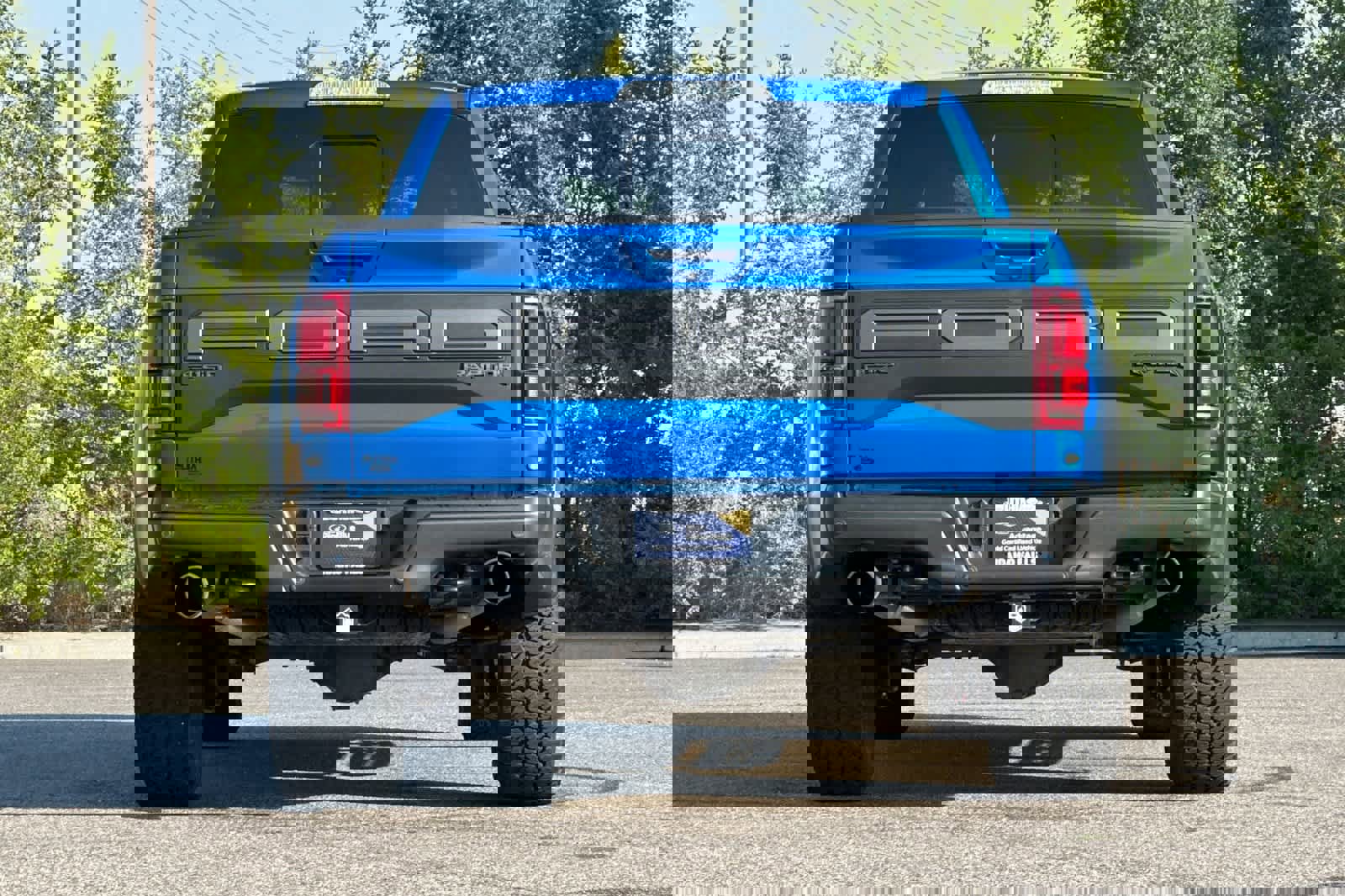 Used 2019 Ford F150 Raptor w/ Equipment Group 802A Luxury image 7