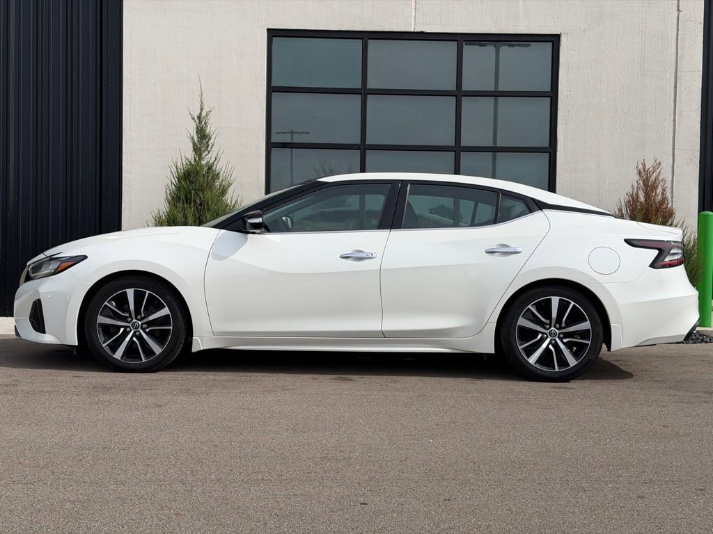 Used 2023 Nissan Maxima SL image 2