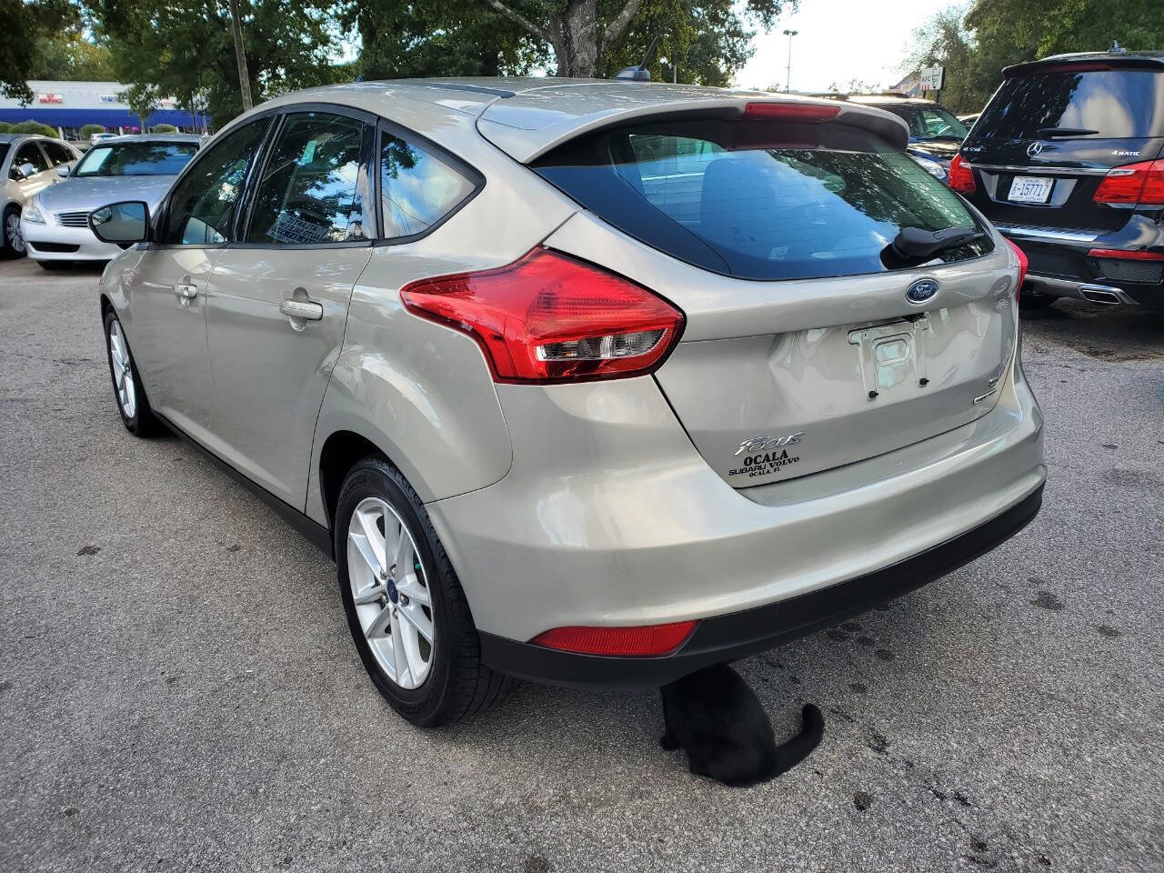 Used 2016 Ford Focus SE FWD image 5