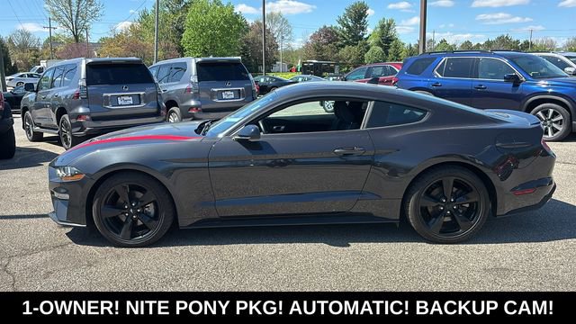 Used 2023 Ford Mustang Coupe w/ Equipment Group 101A RWD image 4
