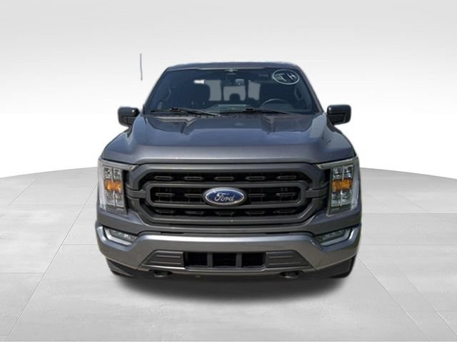 Used 2023 Ford F150 XLT w/ Equipment Group 302A High AWD/4WD image 9
