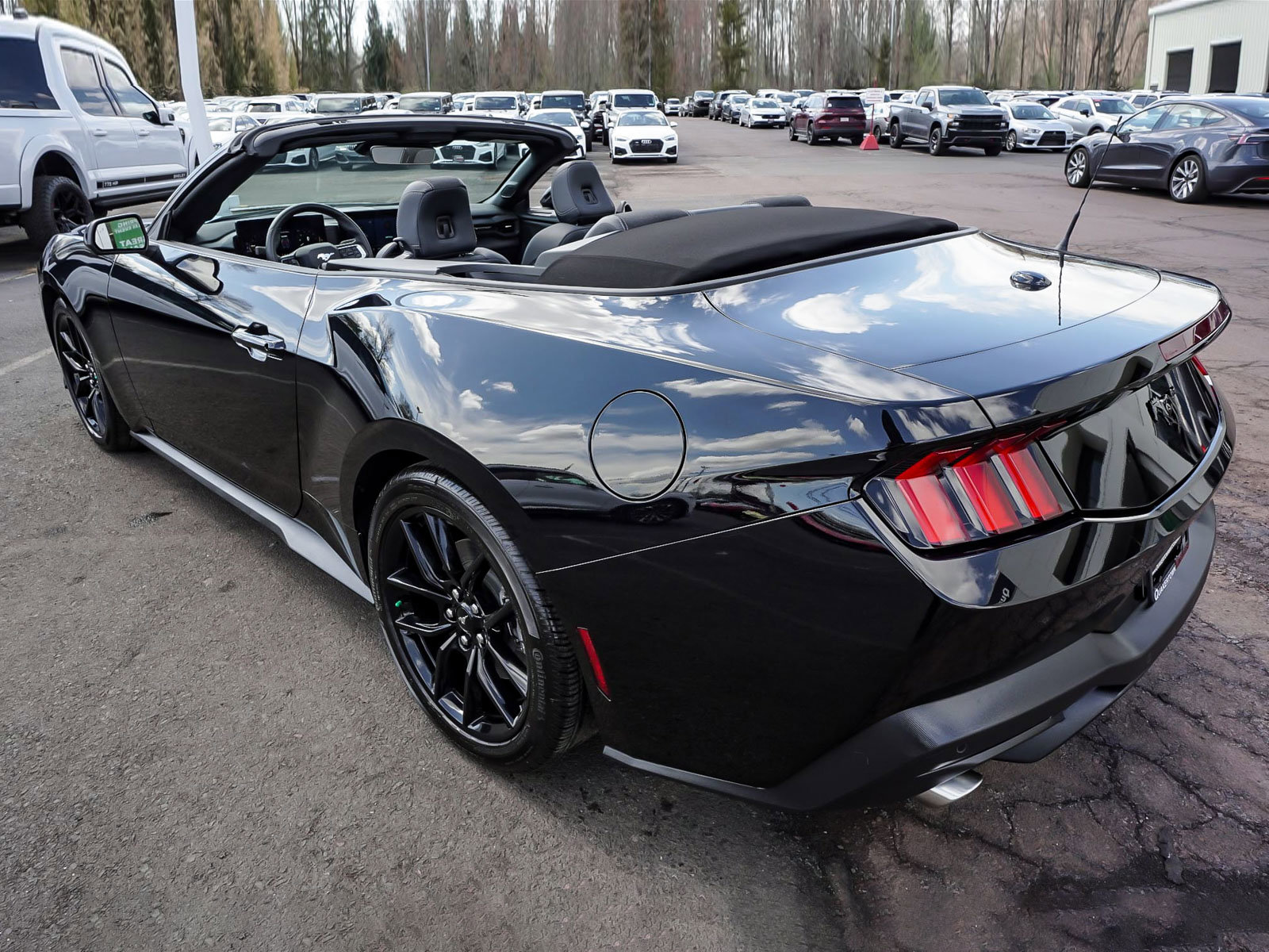 Used 2025 Ford Mustang Convertible w/ Mustang Nite Pony Package image 6
