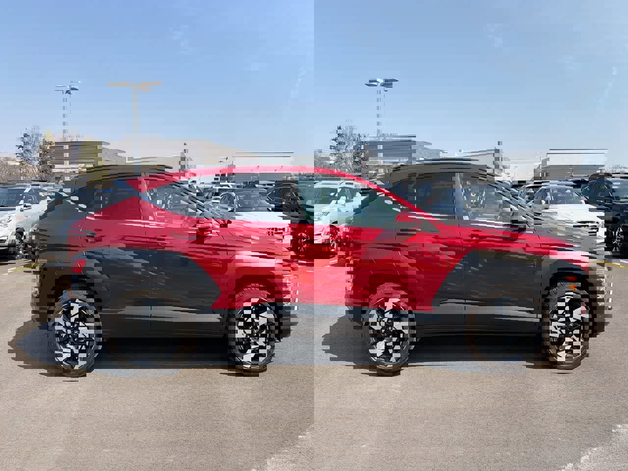 Used 2025 Hyundai Kona Limited image 14
