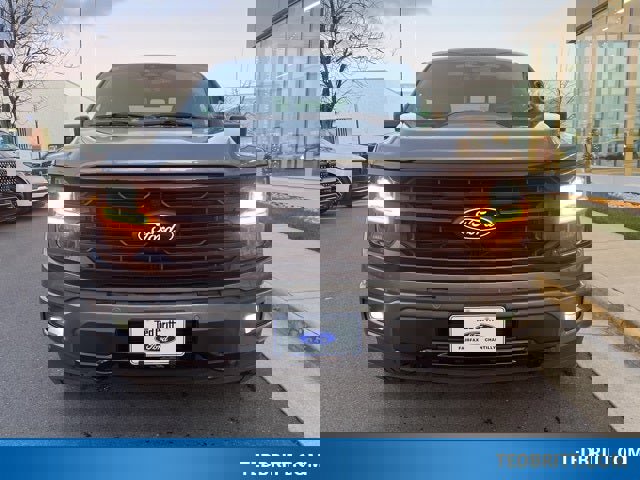 Certified 2024 Ford F150 XLT w/ Equipment Group 303A High image 2