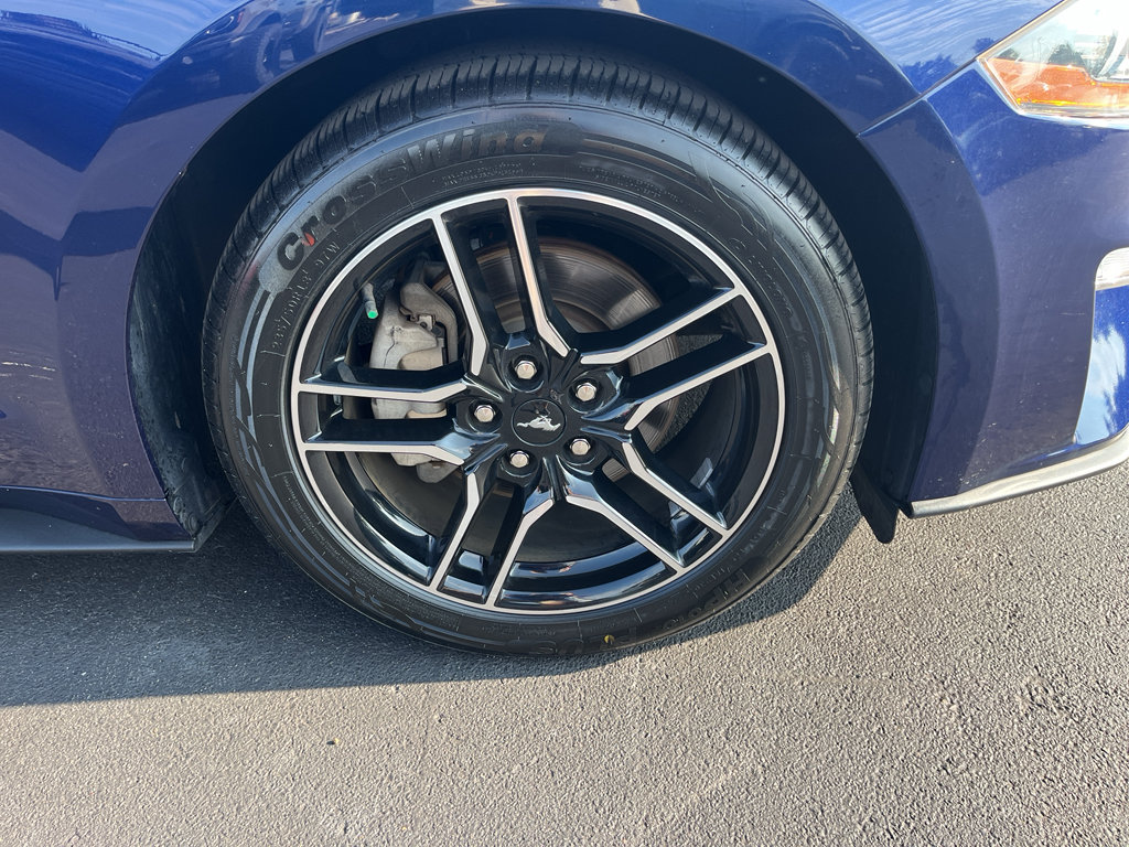 Used 2019 Ford Mustang Premium RWD image 8