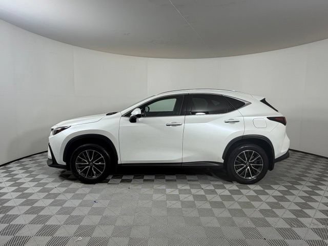 Used 2024 Lexus NX 350h AWD w/ Cold Area Package image 4