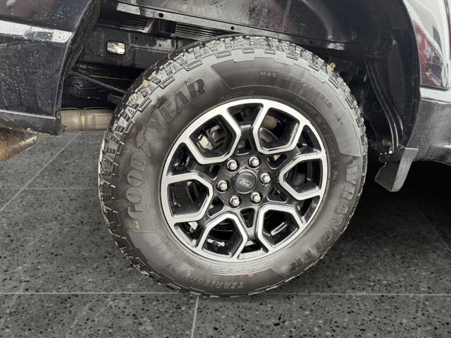 Used 2023 Ford F150 XLT w/ Equipment Group 301A Mid image 14