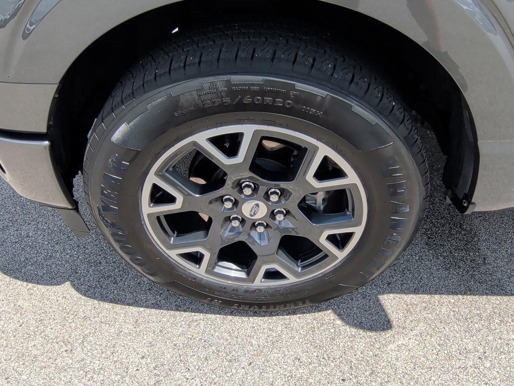 Used 2025 Ford F150 STX w/ Equipment Group 200A RWD image 42