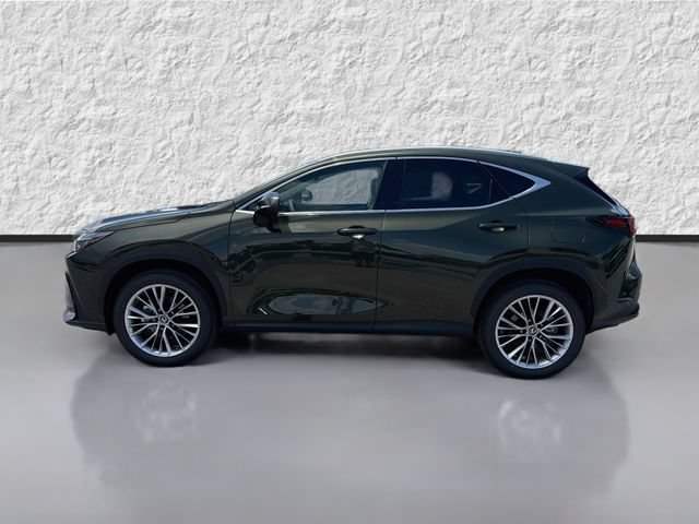 New 2026 Lexus NX 350 AWD w/ Luxury Package image 6
