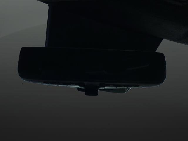 New 2025 Kia Telluride SX Prestige X-Line image 30