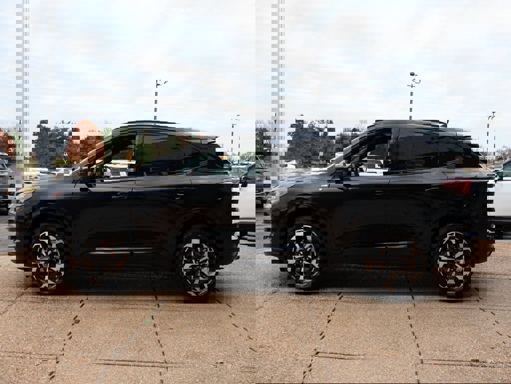 Used 2025 Ford Escape ST-Line Elite w/ Premium Technology Package image 3