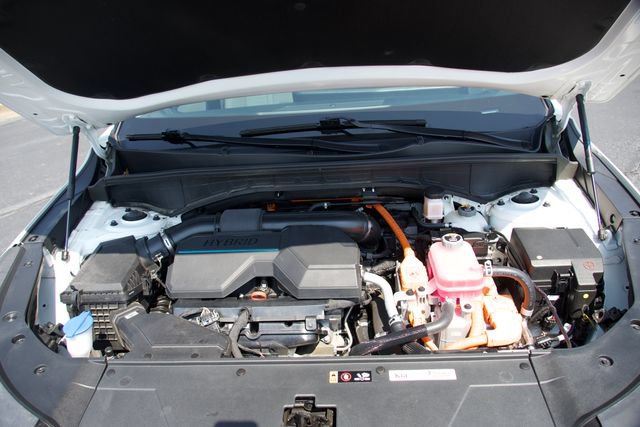 Used 2025 Kia Sorento EX w/ EX Panoramic Sunroof Package AWD/4WD image 13