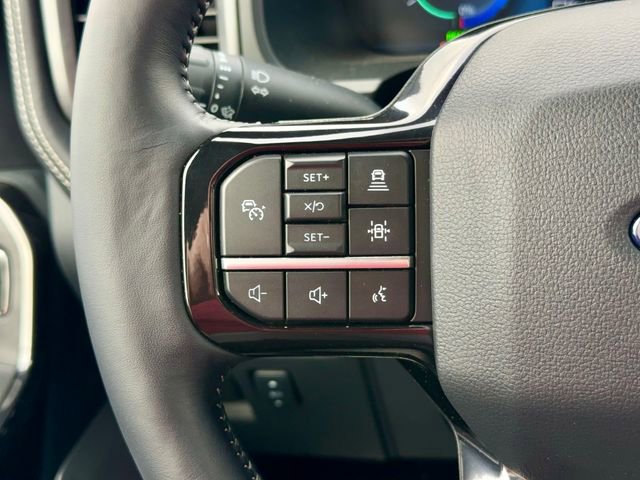 New 2025 Ford F150 Lightning Platinum image 17