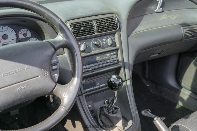 Used 1999 Ford Mustang Cobra image 41