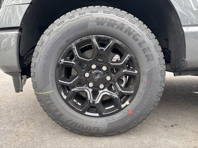 New 2026 Ford F150 XLT w/ Equipment Group 302A MID image 9