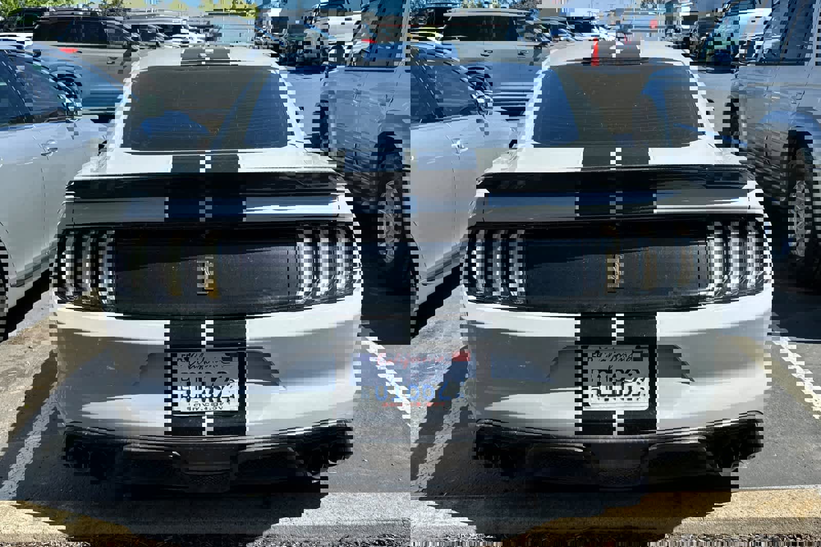 Used 2016 Ford Mustang Shelby GT350 w/ Technology Package RWD image 5