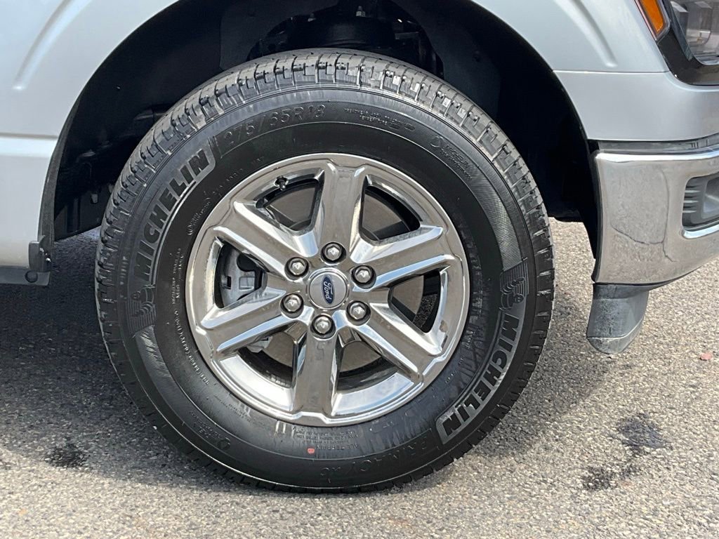 Used 2025 Ford F150 XLT w/ Equipment Group 301A Standard image 22