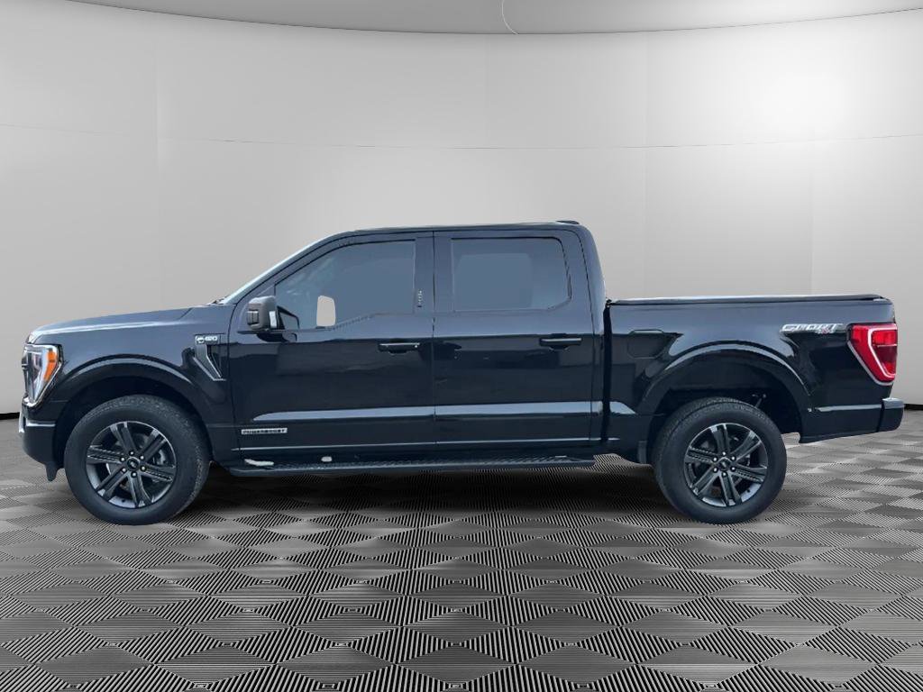 Used 2023 Ford F150 XLT w/ Equipment Group 302A High image 5