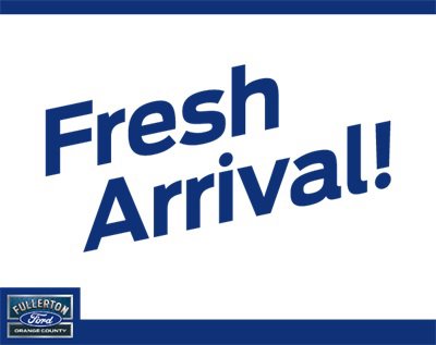 New 2026 Ford Transit 150 Low Roof