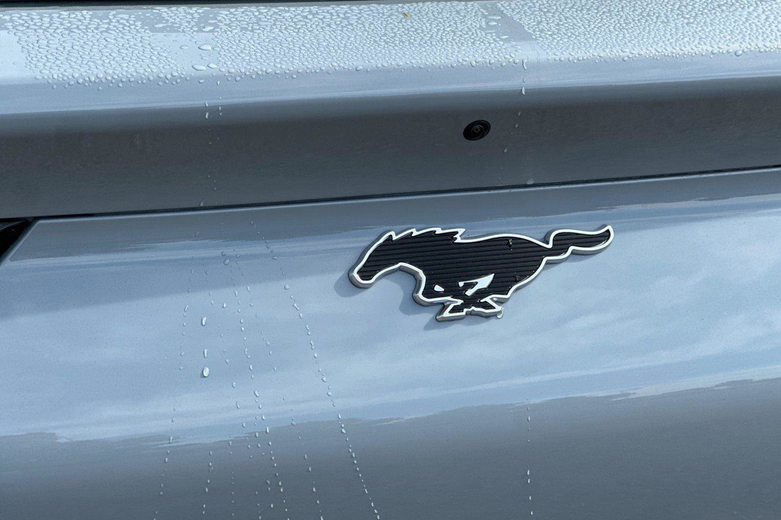 New 2025 Ford Mustang Mach-E Premium image 6