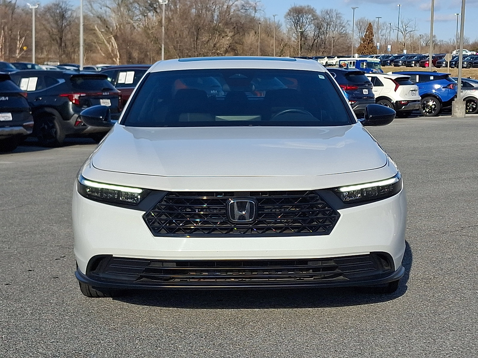 Used 2023 Honda Accord Sport image 2