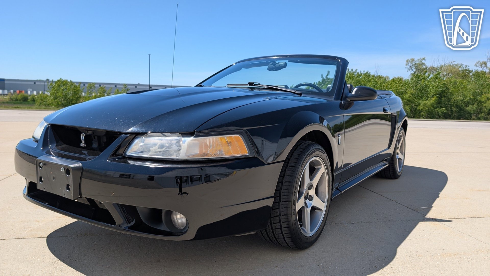 Used 1999 Ford Mustang Cobra RWD image 3