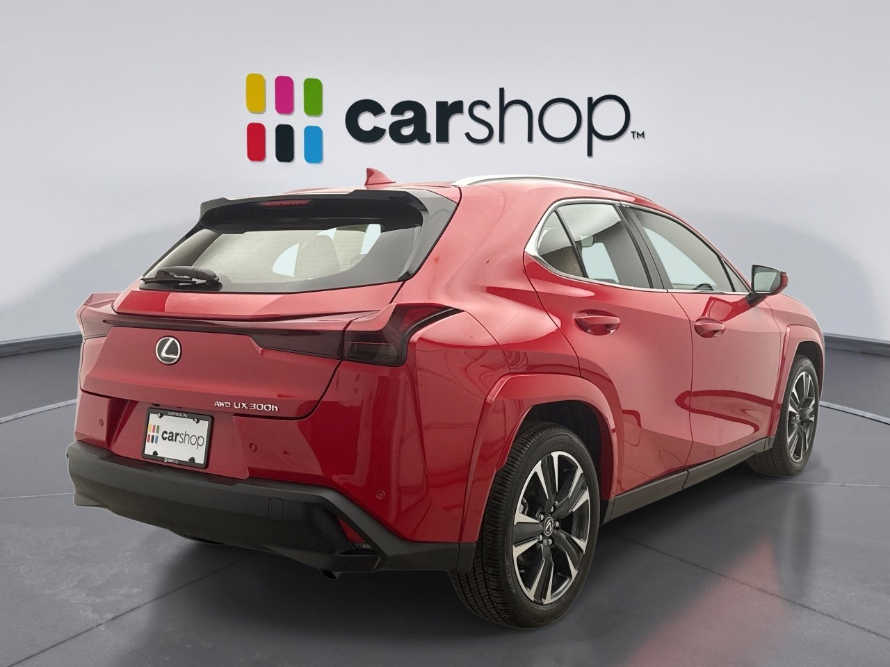 Used 2025 Lexus UX 300h AWD w/ Cold Area Package image 5