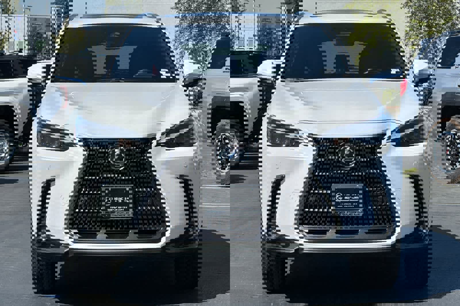 Used 2023 Lexus NX 350h Premium image 10