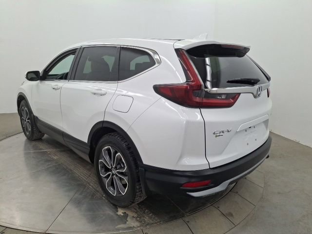 Used 2020 Honda CR-V EX-L image 5