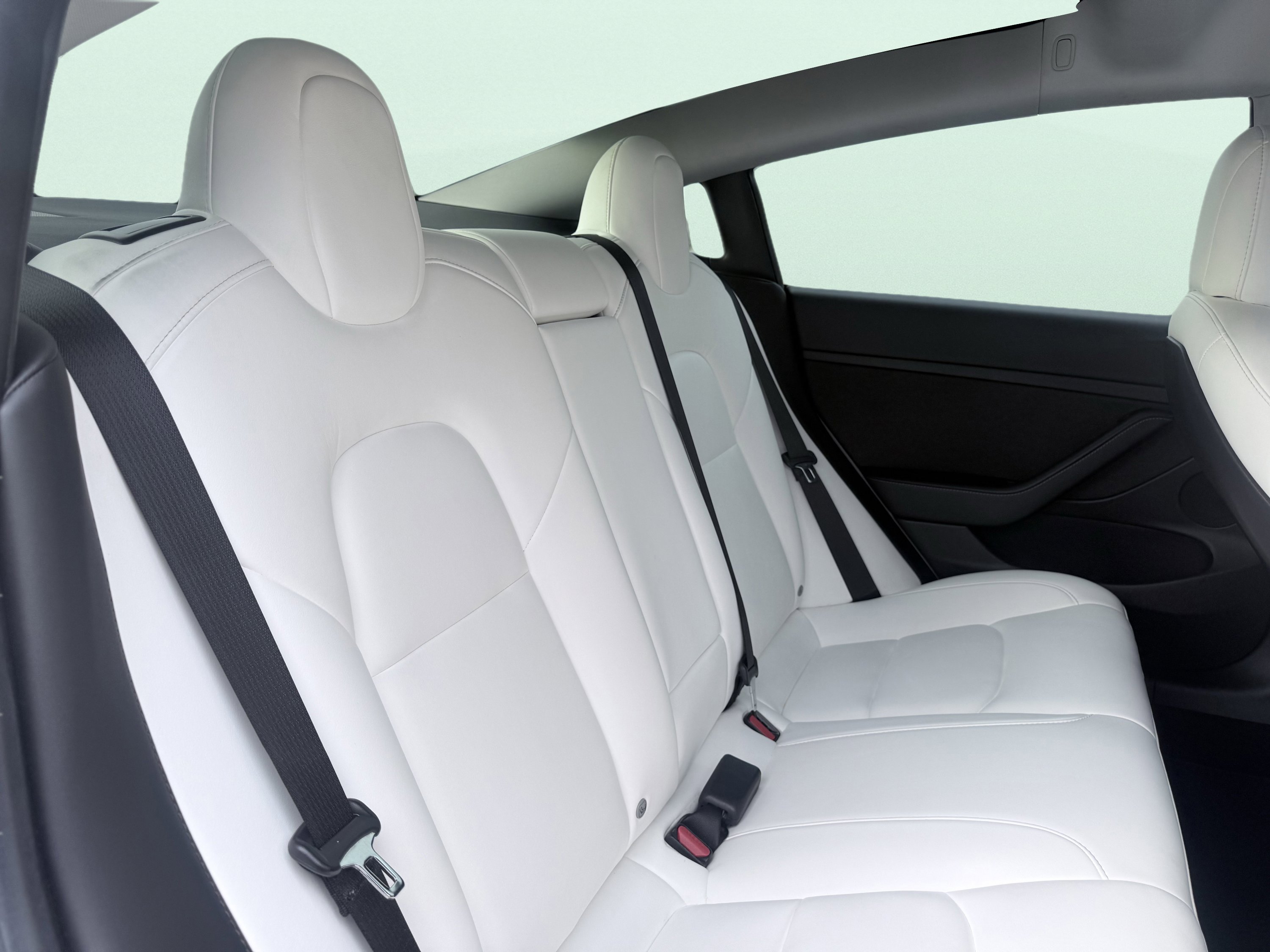 Used 2021 Tesla Model 3 Standard Range Plus image 48